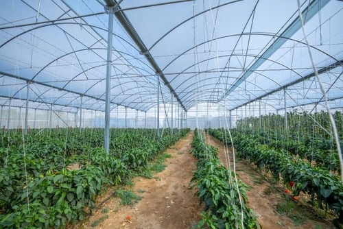 Latest company case about SABIC TEAMS UP WITH IYRIS AND NAPCO TO CREATE HIGH-TECH DURABLE GREENHOUSE ROOFING SOLUTION USING TRUCIRCLE™ POLYETHYLENE FOR SAUDI FOOD PRODUCTION INITIATIVE